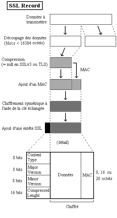SSL-TLS Record